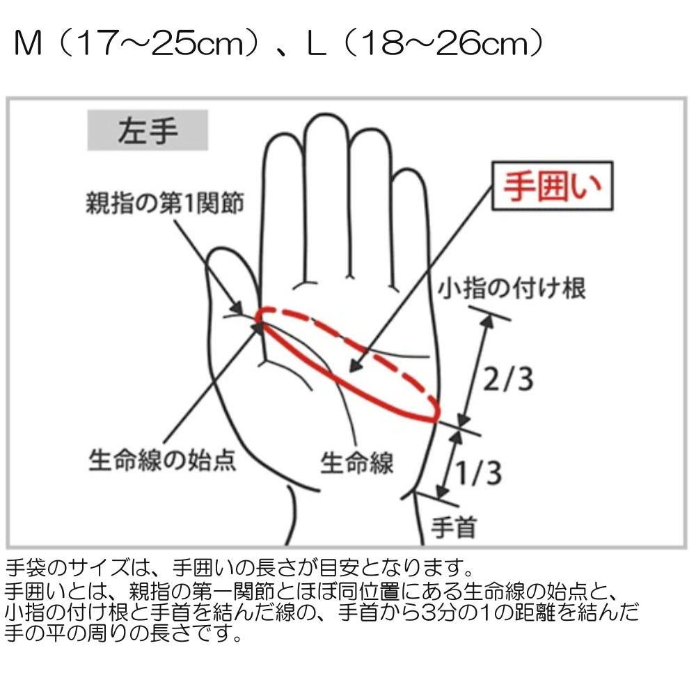 ミズノMIZUNO水泳ミット2024年春夏モデルN2JVB010
