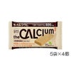 大塚製薬ザ・カルシウムバニラクリーム5袋(10.5g)×4個OTS14243
