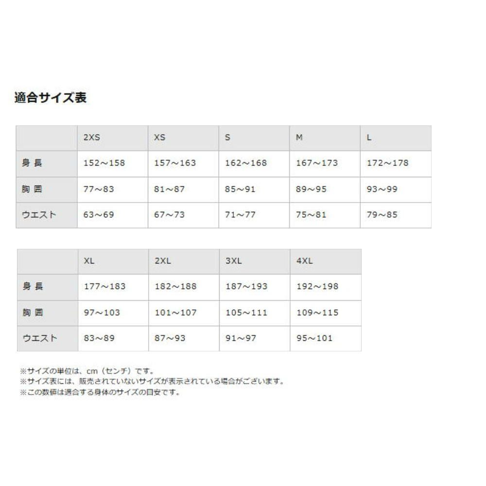 ミズノMIZUNOグラフィックTシャツユニセックスDAYBREAKERS2025年秋冬モデルN2JCC550
